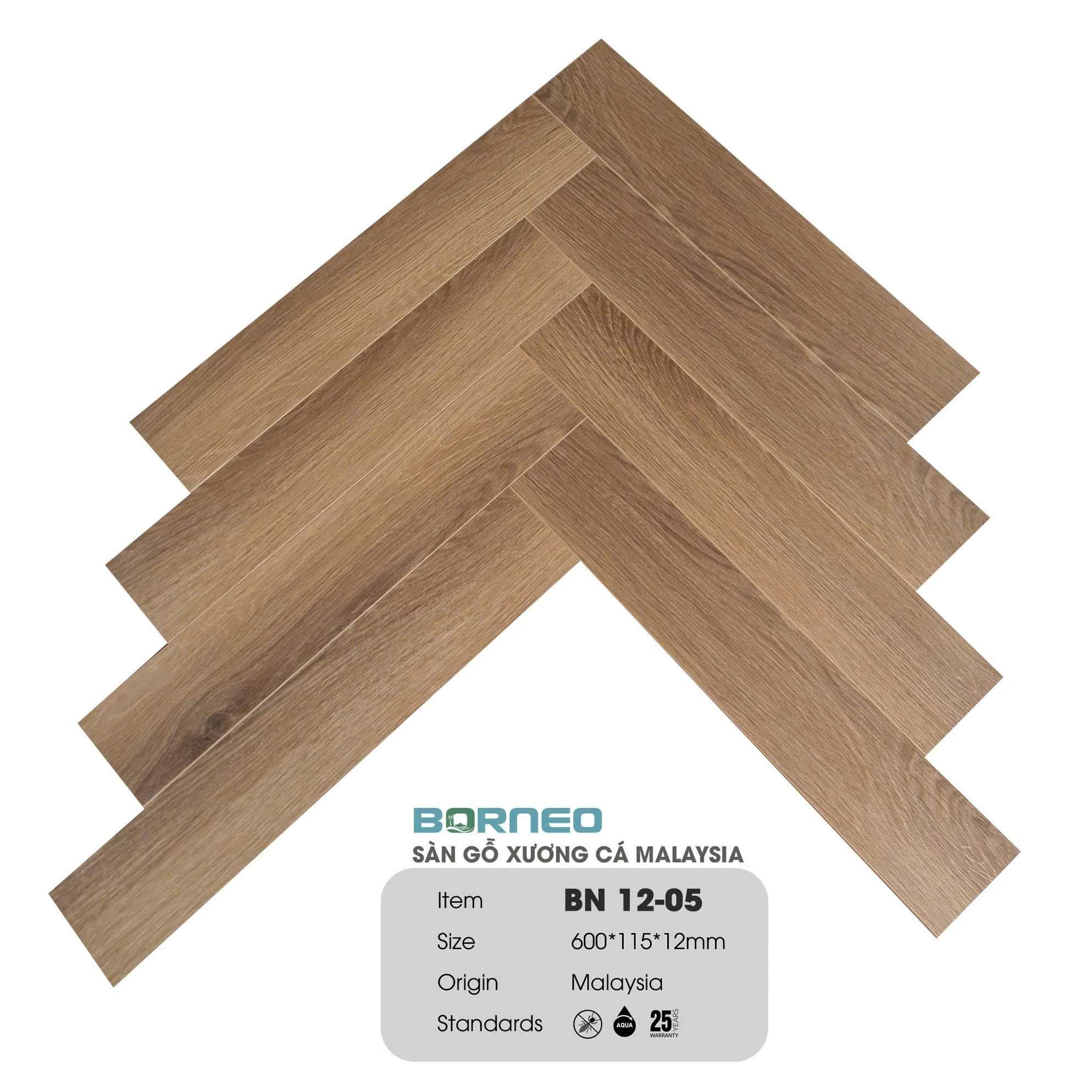 Xương Cá Borneo BN12-05