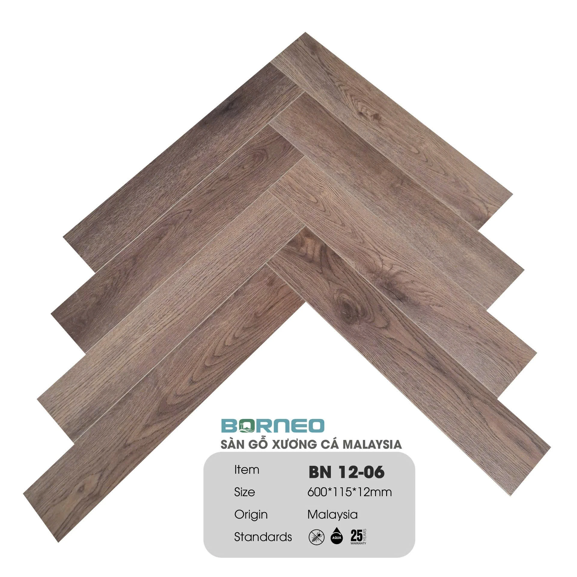 Xương Cá Borneo BN12-06