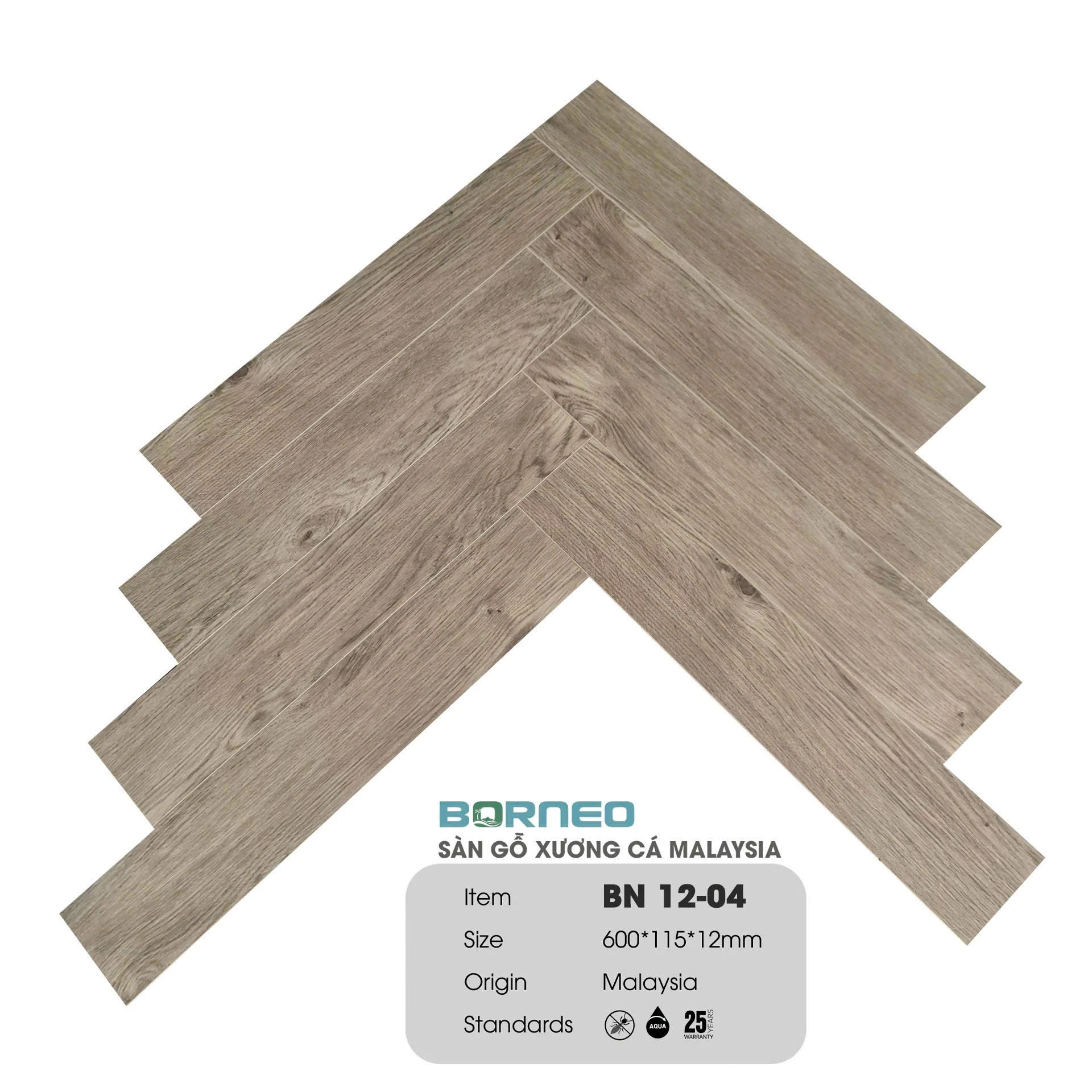 Xương Cá Borneo BN12-04