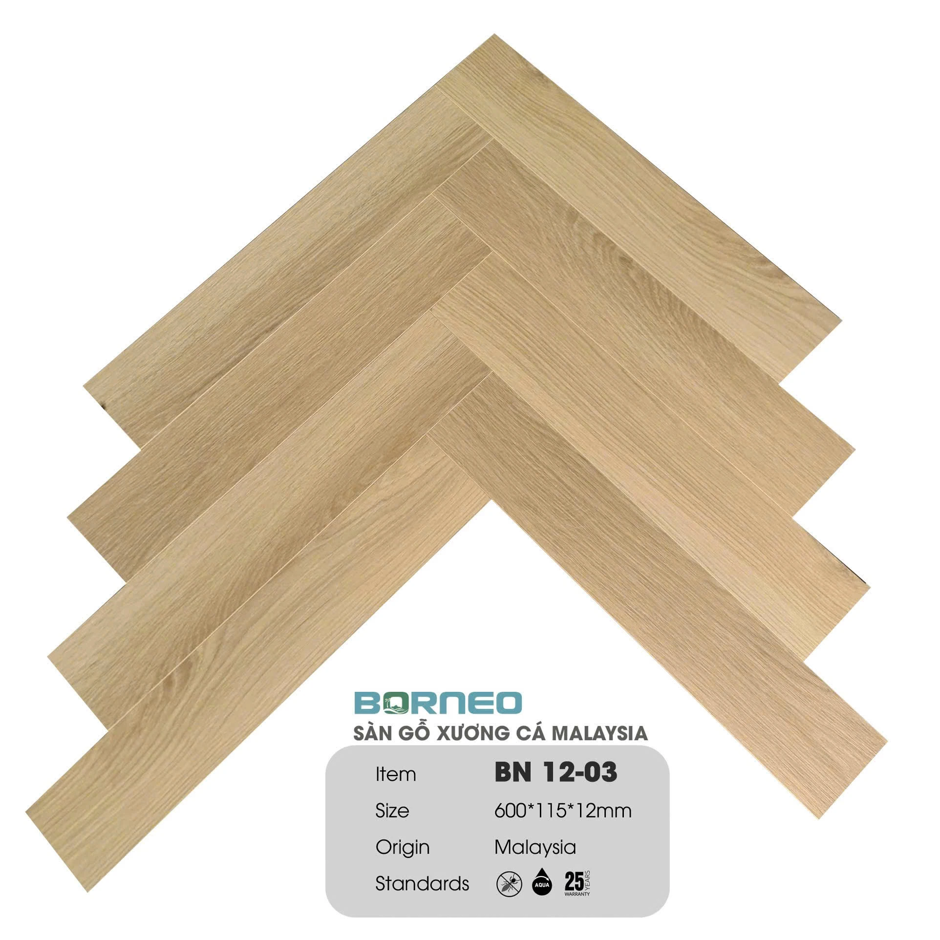 Xương Cá Borneo BN12-03