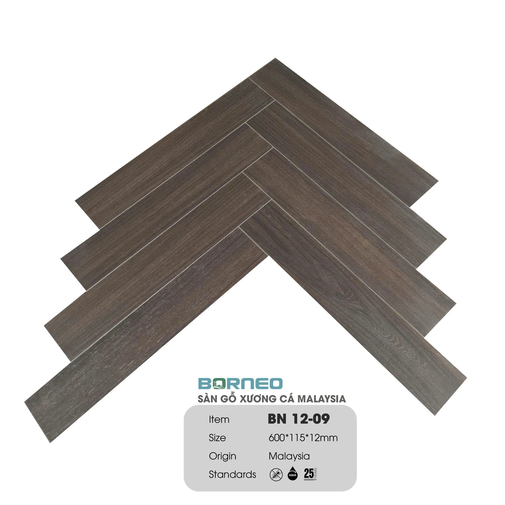 Xương Cá Borneo BN12-09